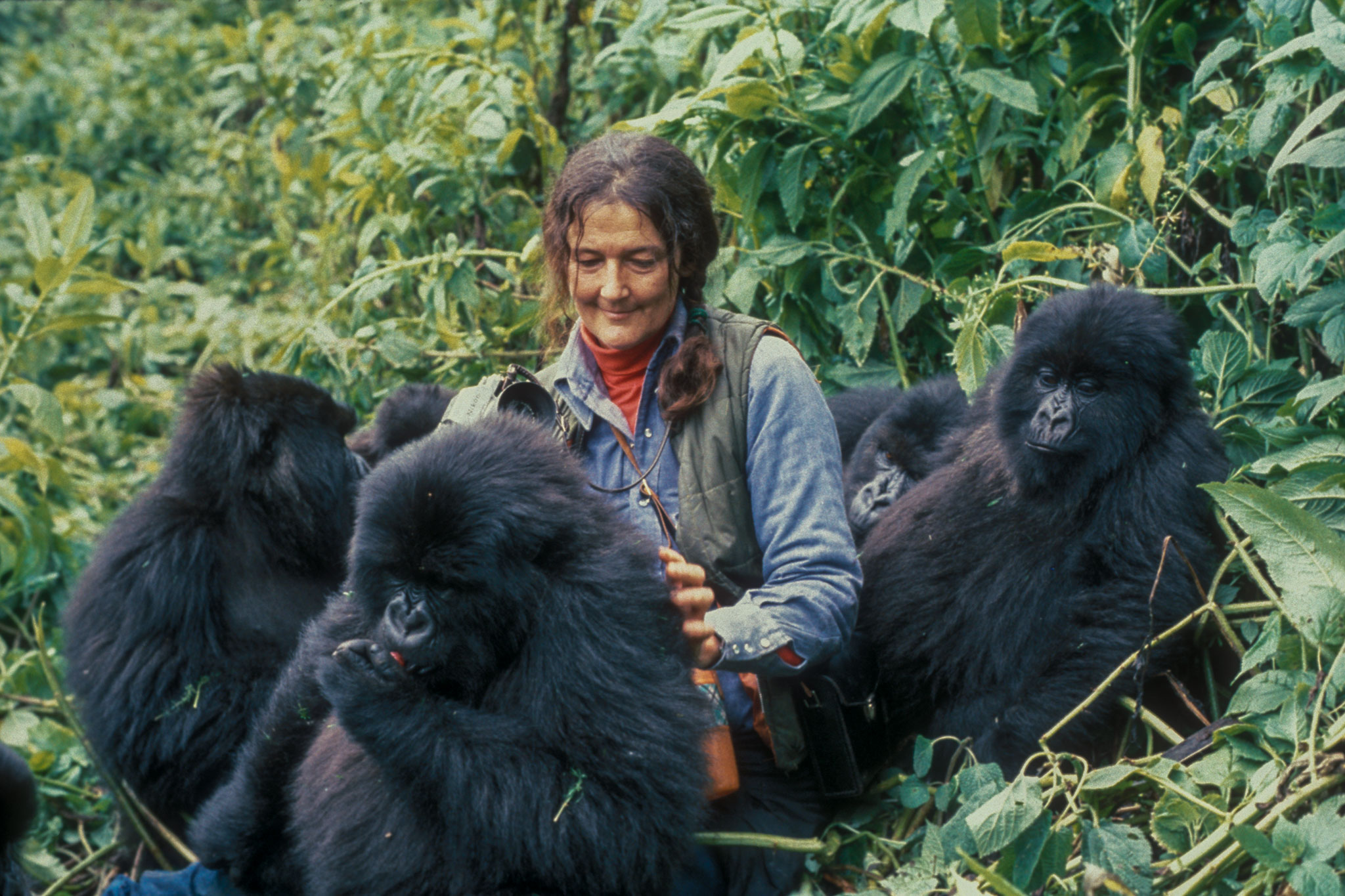 Diana Fossey Hike