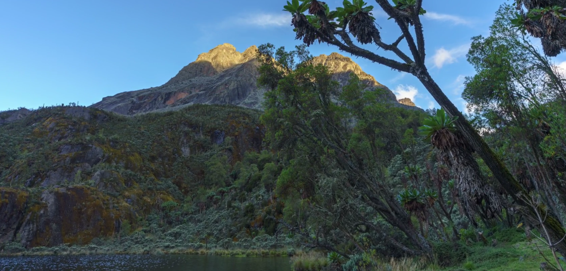 Mountain Rwenzori Central Circuit