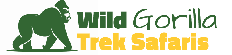 Wild Gorilla Trek  Safaris