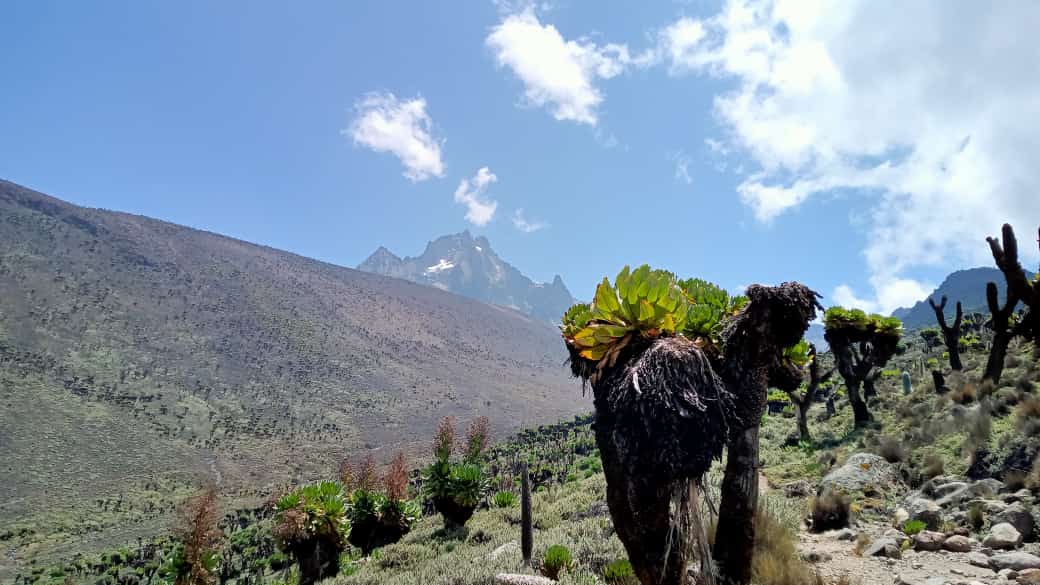 John Maate mountain rwenzori