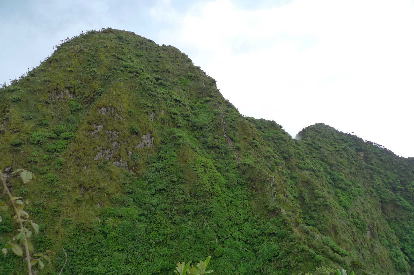 Trekking trip through Rwanzori mountains